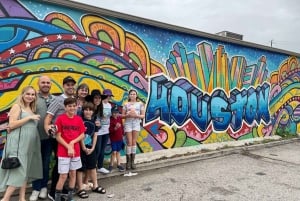 Houston: Astroville Executive Private Houston City Tour