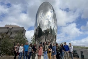 Houston: Astroville Executive Private Houston City Tour