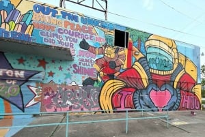 Houston: Astroville Executive Private Houston City Tour