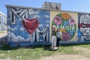 Houston: Astroville Executive Private Houston City Tour