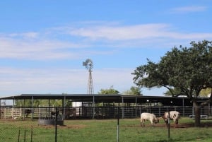 Houston : transport aller-retour pour le centre spatial Astroville de la NASA