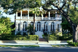 Het beste van Galveston vanuit Houston