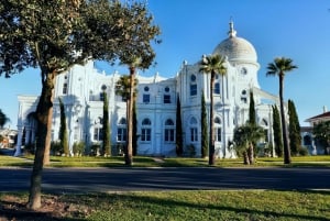 Het beste van Galveston vanuit Houston