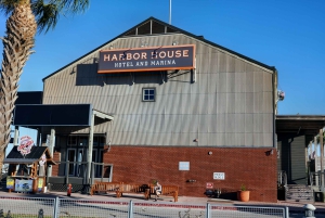 Het beste van Galveston vanuit Houston