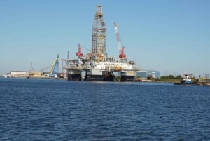 Het beste van Galveston vanuit Houston