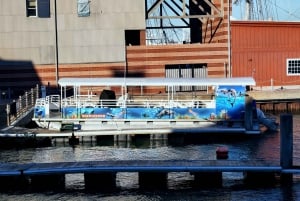 Het beste van Galveston vanuit Houston