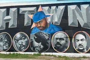 Houston: Astroville Executive Private Houston City Tour