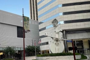 Houston: Astroville Executive Private Houston City Tour