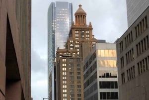 Houston: Astroville Executive Private Houston City Tour
