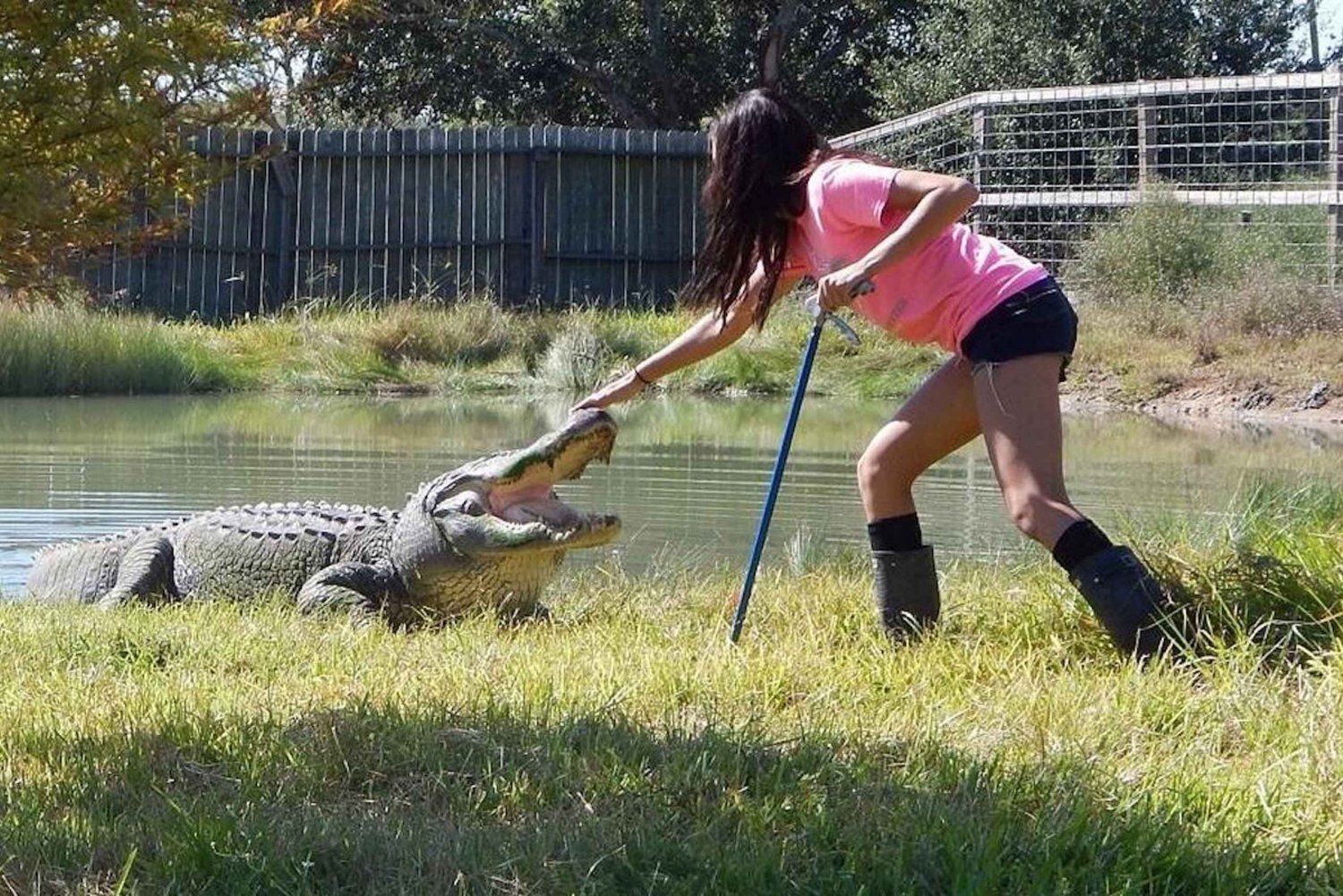 From Houston: Crocodile Encounter Entry Ticket