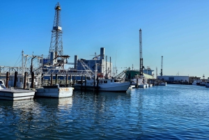 Fra Houston: Galveston Tour med Tall Ship Elissa Admission