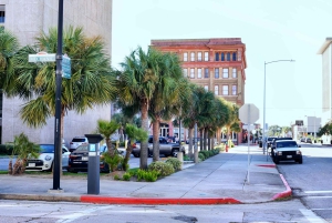 Fra Houston: Galveston Tour med Tall Ship Elissa Admission