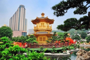 Hongkong: Privatwagen oder Minibus mit Fahrer mieten