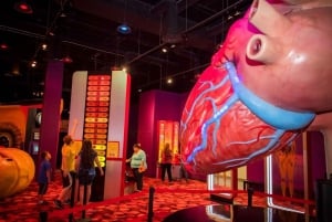 Houston: 1-dagers eller 3-dagers museumskort