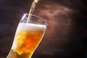 Houston: passeio de 2 horas pelo centro da cidade em carro elétrico