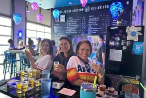 Houston: passeio de 2 horas pelo centro da cidade em carro elétrico