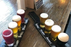 Houston: passeio de 2 horas pelo centro da cidade em carro elétrico