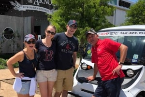 Houston: passeio de 2 horas pelo centro da cidade em carro elétrico