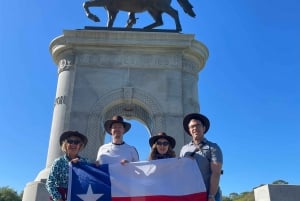 Houston: Astroville Best of Houston City Driving Tour