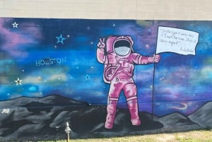 Houston: Astroville Best of Houston City Driving Tour