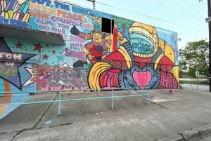 Houston: Astroville Best of Houston City Driving Tour