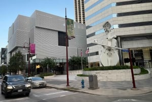 Houston: Astroville Best of Houston City Driving Tour