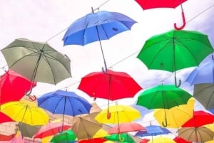 Houston: o melhor tour de comida de rua com um guia local