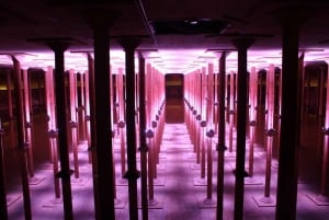 Houston: Buffalo Bayou Park Cistern History Tour