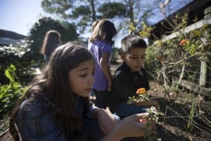 Houston: Ingresso para o Children's Museum Houston