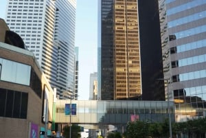 Houston: City Sightseeing Tour & toegang tot Space Center Houston