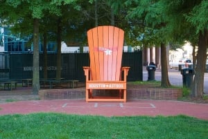 Houston: City Sightseeing Tour & toegang tot Space Center Houston