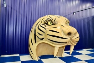 Houston: Entrébillet til Colossal Museum