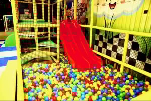 Houston: Entrébillet til Colossal Museum