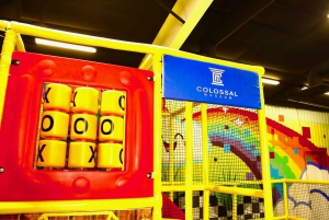 Houston: Entrébillet til Colossal Museum