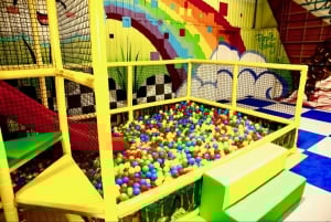 Houston: Entrébillet til Colossal Museum