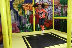 Houston: Entrébillet til Colossal Museum