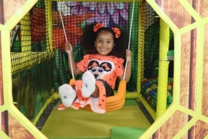 Houston: Entrébillet til Colossal Museum