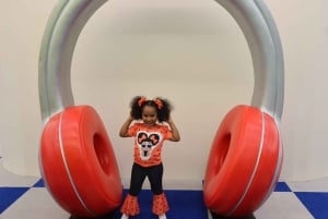 Houston: Entrébillet til Colossal Museum