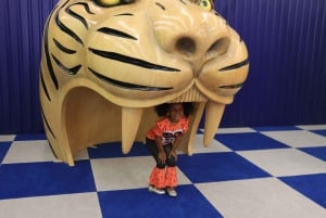 Houston: Entrébillet til Colossal Museum