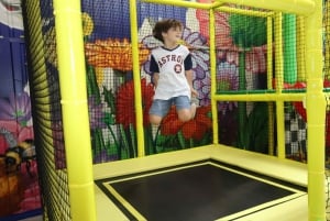 Houston: Entrébillet til Colossal Museum