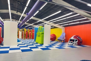 Houston: Entrébillet til Colossal Museum