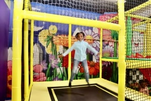 Houston: Entrébillet til Colossal Museum