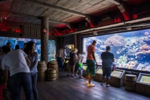 Houston: całodzienna przepustka do akwarium w centrum miasta