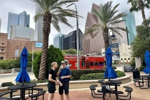 Houston: Downtown Wandeling Geschiedenis Tour