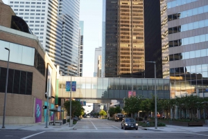 Houston: Group City Highlights Tour