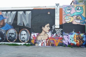 Houston: Group City Highlights Tour