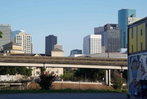 Houston: Group City Highlights Tour
