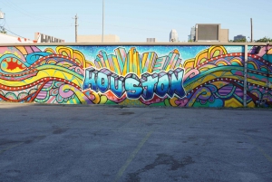 Houston: Group City Highlights Tour