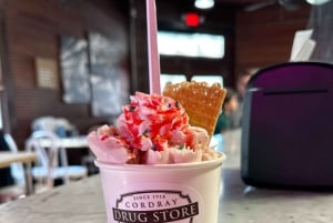 Houston : visite guidée du centre-ville et de l'île de Galveston