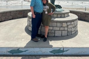 Houston : visite guidée du centre-ville et de l'île de Galveston